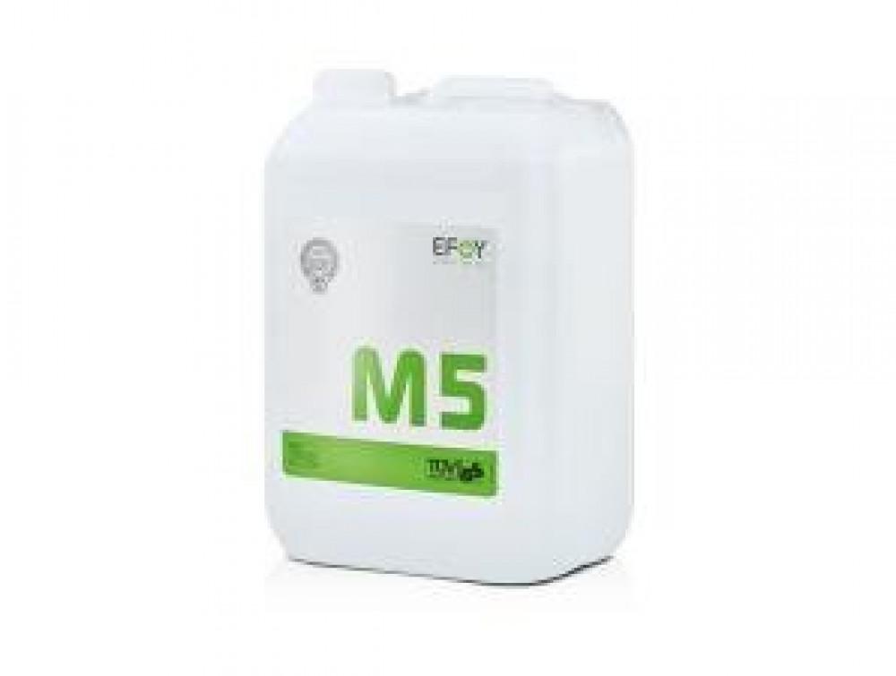 EFOY Fuelcan M5
